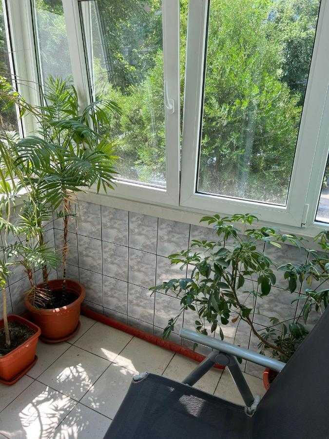 Apartamentul Oaspetilor Apartment