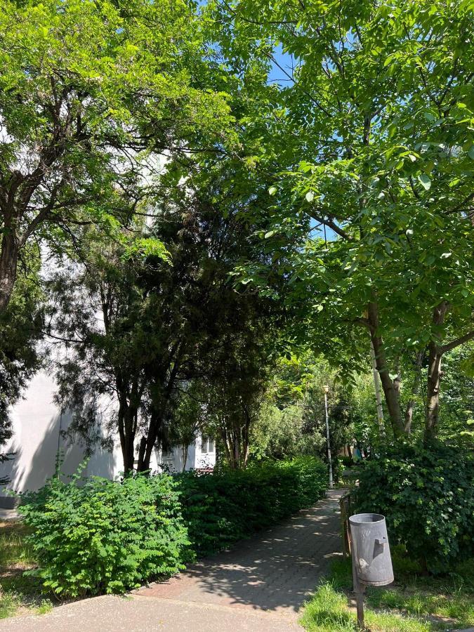 Apartamentul Oaspetilor * Slatina (Olt)